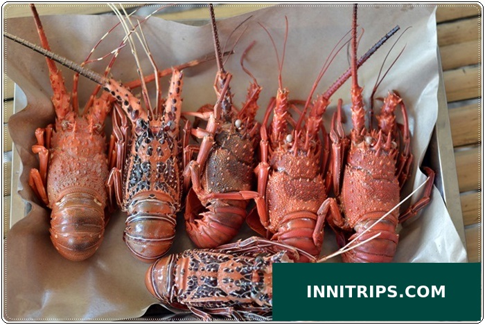 Optional lobster BBQ · photo 42
