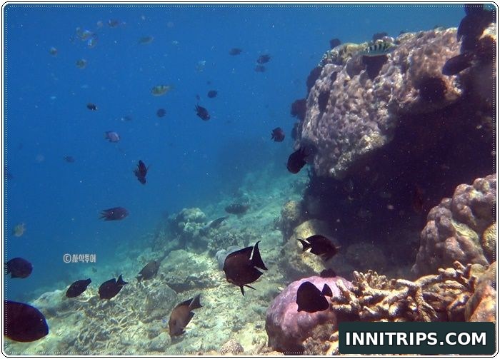 Gili Ringgit snorkeling · secret islands photo 7