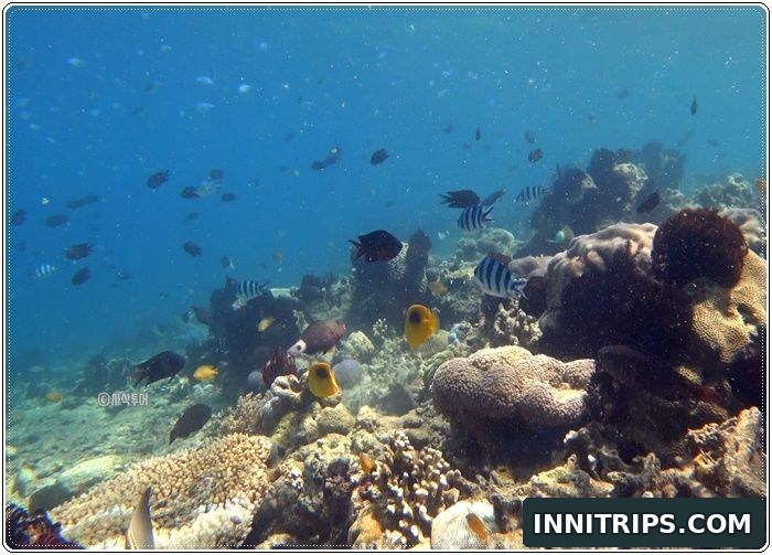 Gili Ringgit snorkeling · secret islands photo 9