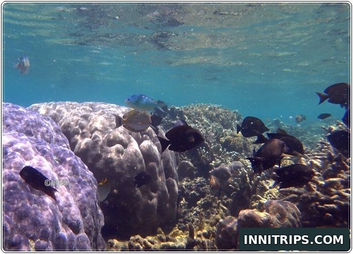 Gili Ringgit snorkeling · secret islands photo 11
