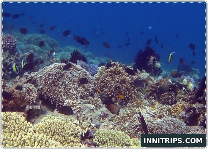 Gili Layar snorkeling and island time · secret islands photo 27