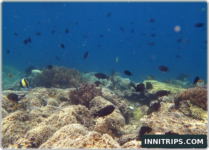 Gili Layar snorkeling and island time · secret islands photo 28