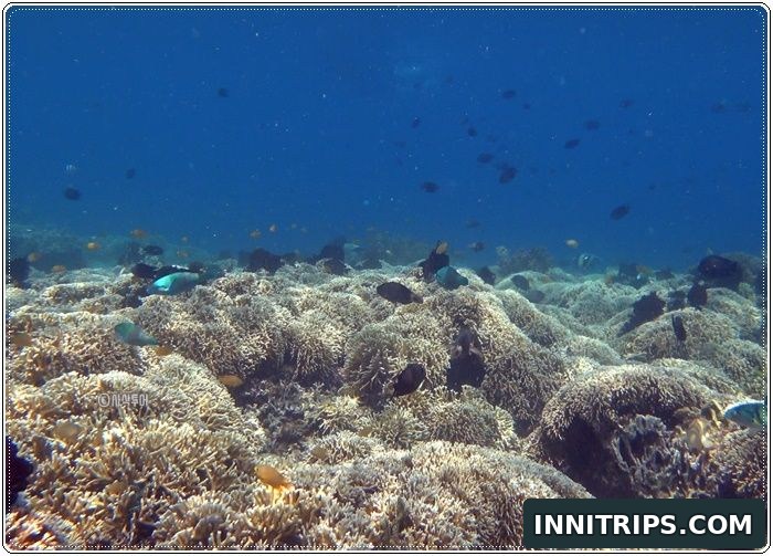 Gili Layar snorkeling and island time · secret islands photo 29