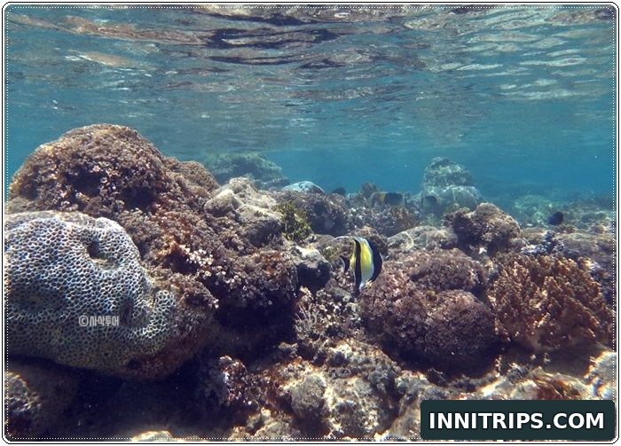 Gili Layar snorkeling and island time · secret islands photo 30