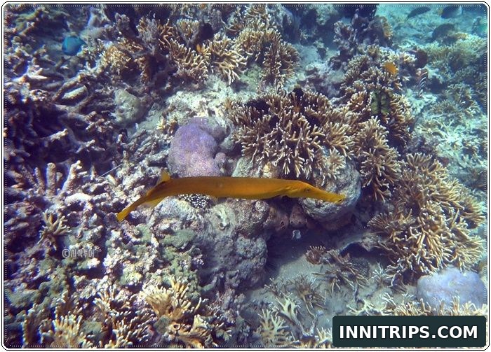 Gili Layar snorkeling and island time · secret islands photo 31