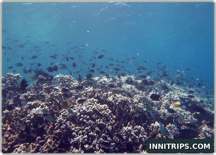 Gili Layar snorkeling and island time · secret islands photo 32