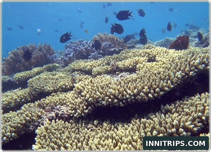 Gili Layar snorkeling and island time · secret islands photo 33