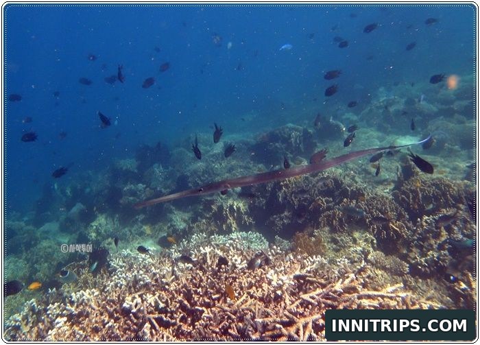 Gili Layar snorkeling and island time · secret islands photo 34