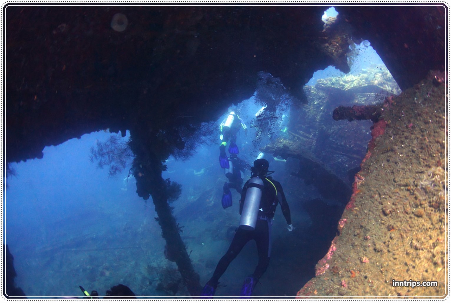 Explore the USAT Liberty wreck on the Tulamben dive tour
