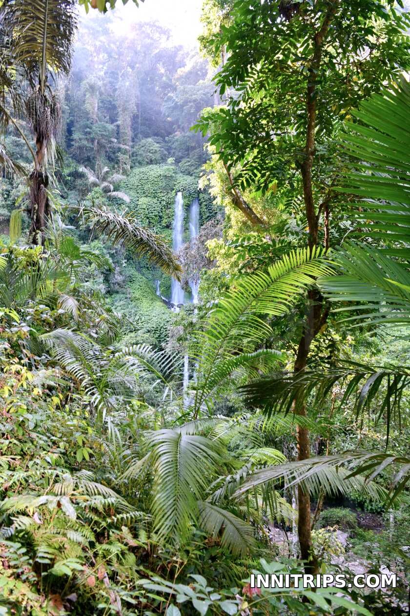 A gentle walk to Sendang Gile · North Lombok waterfall tour photo 14