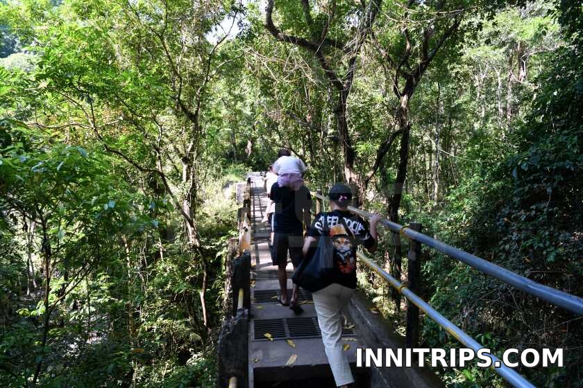 Forest path and river crossings · North Lombok waterfall tour photo 30
