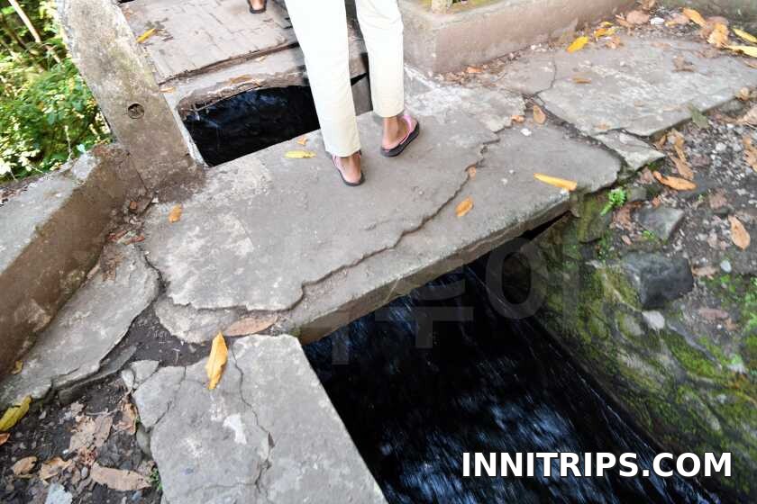 Forest path and river crossings · North Lombok waterfall tour photo 31