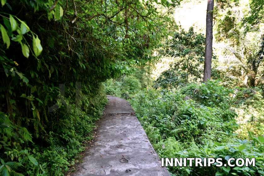 Forest path and river crossings · North Lombok waterfall tour photo 32