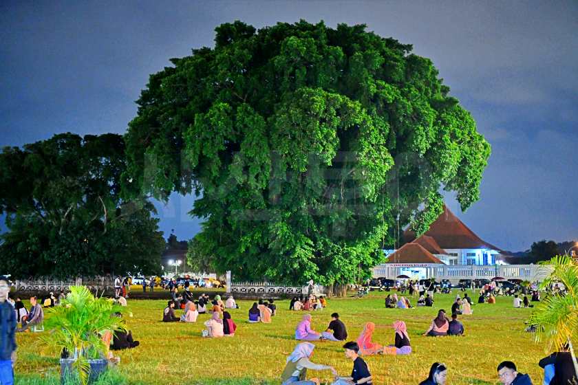Alun-Alun Kidul — original visitor photograph 4