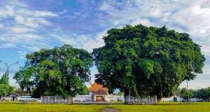 Kraton Yogyakarta — Alun-Alun Kidul, the southern square
