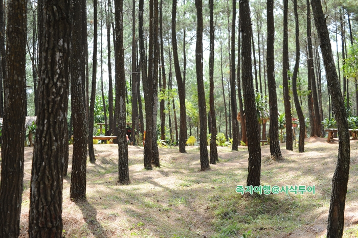 Puncak Becici — original visitor photograph 3