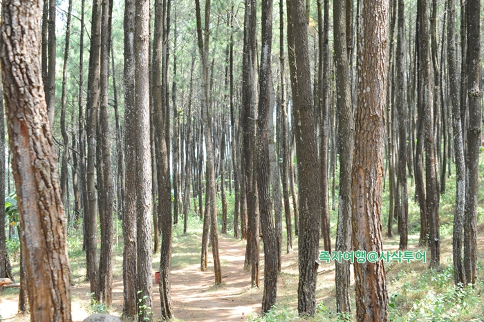 Puncak Becici — original visitor photograph 4