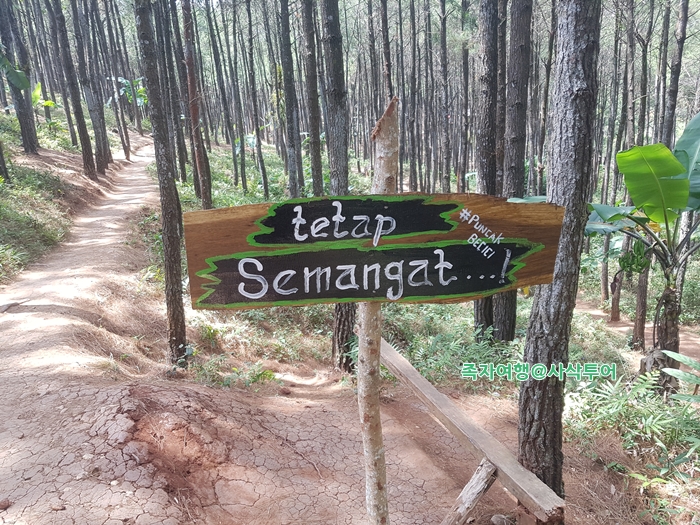 Puncak Becici — original visitor photograph 14