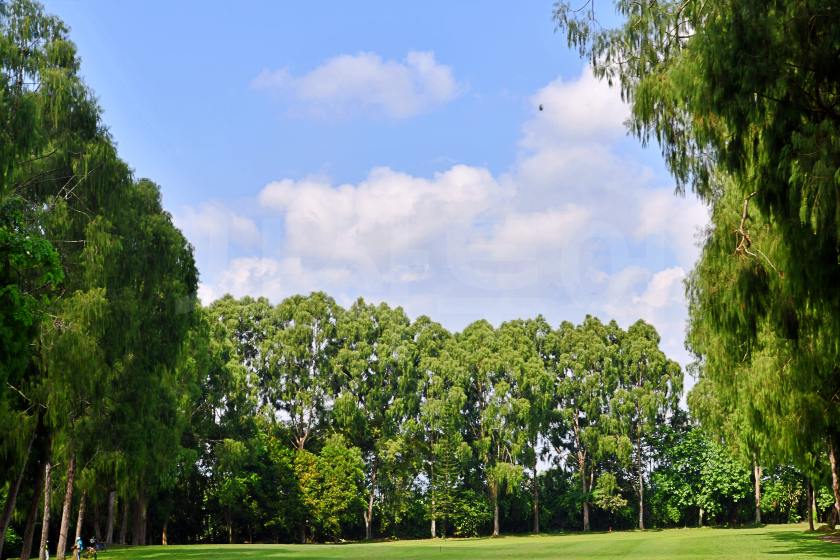 Adisutjipto Golf Club — original course and clubhouse photograph 24